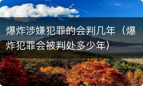 爆炸涉嫌犯罪的会判几年（爆炸犯罪会被判处多少年）