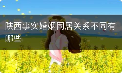 陕西事实婚姻同居关系不同有哪些