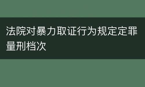 法院对暴力取证行为规定定罪量刑档次