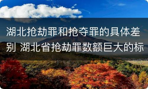 湖北抢劫罪和抢夺罪的具体差别 湖北省抢劫罪数额巨大的标准