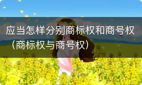 应当怎样分别商标权和商号权（商标权与商号权）