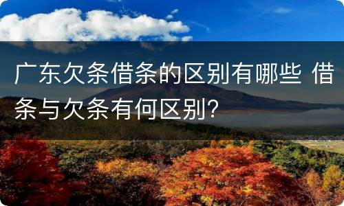 广东欠条借条的区别有哪些 借条与欠条有何区别?