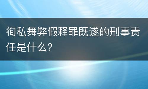 徇私舞弊假释罪既遂的刑事责任是什么？