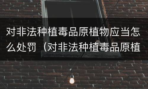 对非法种植毒品原植物应当怎么处罚（对非法种植毒品原植物经公安机关处理后又种植）