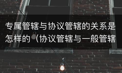 专属管辖与协议管辖的关系是怎样的（协议管辖与一般管辖）