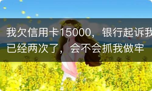 我欠信用卡15000，银行起诉我已经两次了，会不会抓我做牢