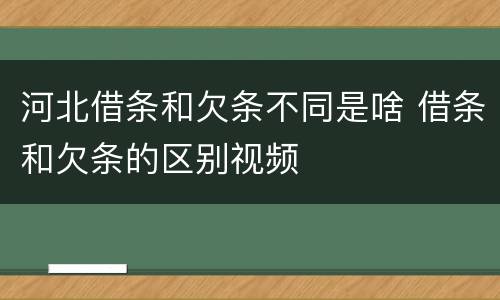 河北借条和欠条不同是啥 借条和欠条的区别视频