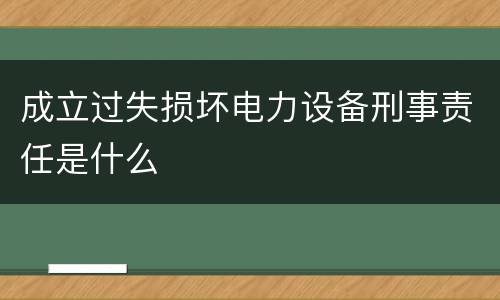 成立过失损坏电力设备刑事责任是什么