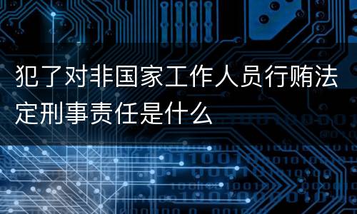 犯了对非国家工作人员行贿法定刑事责任是什么