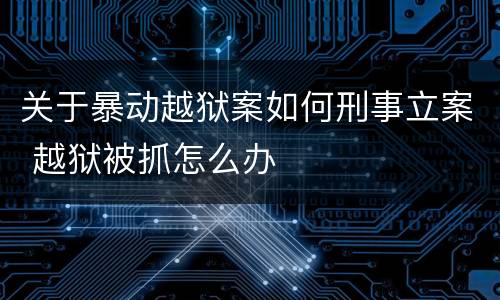 关于暴动越狱案如何刑事立案 越狱被抓怎么办