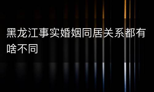 黑龙江事实婚姻同居关系都有啥不同