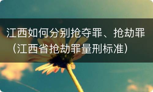 江西如何分别抢夺罪、抢劫罪（江西省抢劫罪量刑标准）