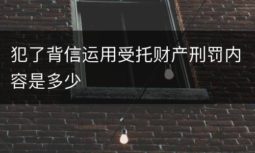 犯了背信运用受托财产刑罚内容是多少