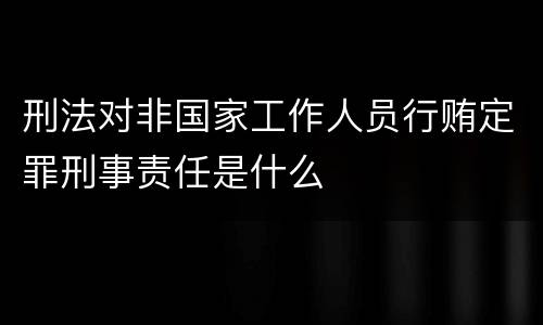 刑法对非国家工作人员行贿定罪刑事责任是什么