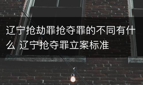 辽宁抢劫罪抢夺罪的不同有什么 辽宁抢夺罪立案标准