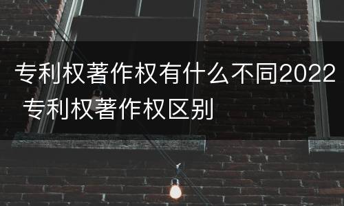 专利权著作权有什么不同2022 专利权著作权区别