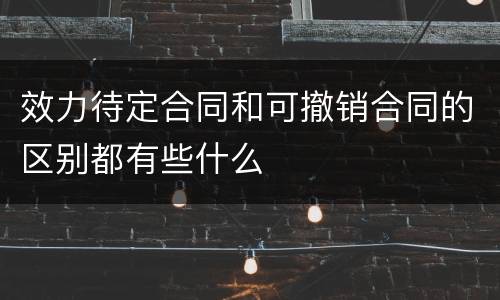 效力待定合同和可撤销合同的区别都有些什么