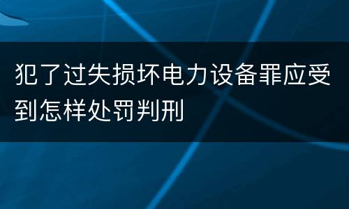 犯了过失损坏电力设备罪应受到怎样处罚判刑