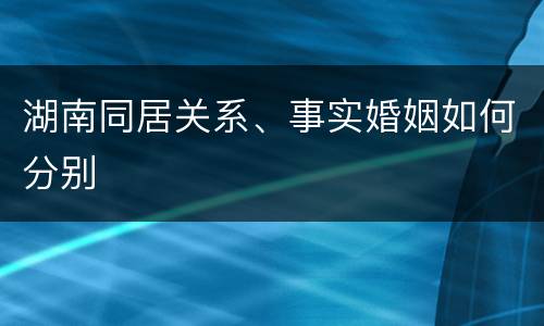 湖南同居关系、事实婚姻如何分别