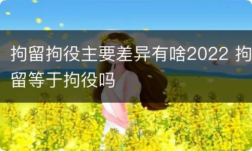 拘留拘役主要差异有啥2022 拘留等于拘役吗