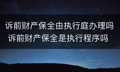 诉前财产保全由执行庭办理吗 诉前财产保全是执行程序吗