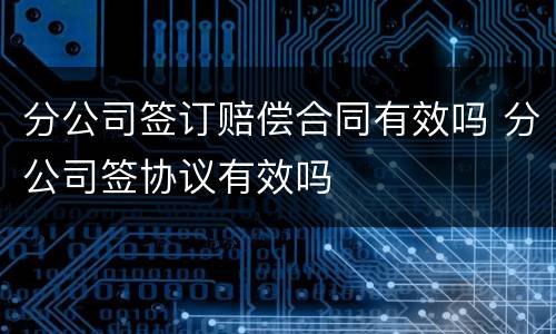 分公司签订赔偿合同有效吗 分公司签协议有效吗