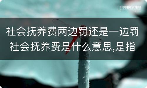 社会抚养费两边罚还是一边罚 社会抚养费是什么意思,是指罚款吗?