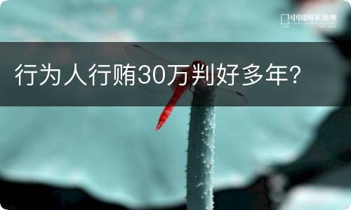 行为人行贿30万判好多年？