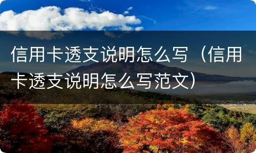 信用卡透支说明怎么写（信用卡透支说明怎么写范文）