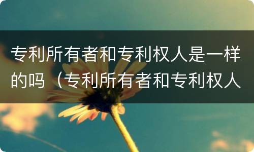 专利所有者和专利权人是一样的吗（专利所有者和专利权人是一样的吗知乎）