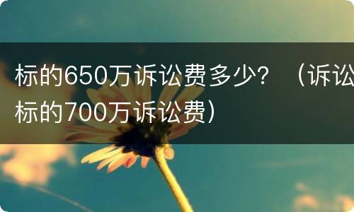 标的650万诉讼费多少？（诉讼标的700万诉讼费）