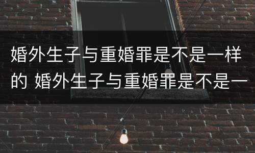 婚外生子与重婚罪是不是一样的 婚外生子与重婚罪是不是一样的行为