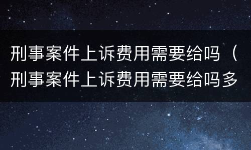 刑事案件上诉费用需要给吗（刑事案件上诉费用需要给吗多少钱）