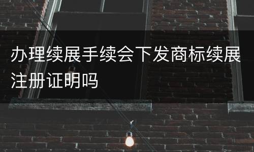 办理续展手续会下发商标续展注册证明吗