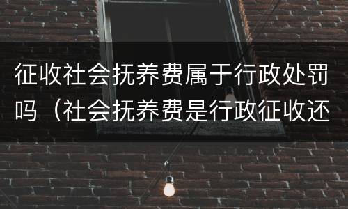 征收社会抚养费属于行政处罚吗（社会抚养费是行政征收还是行政处罚）