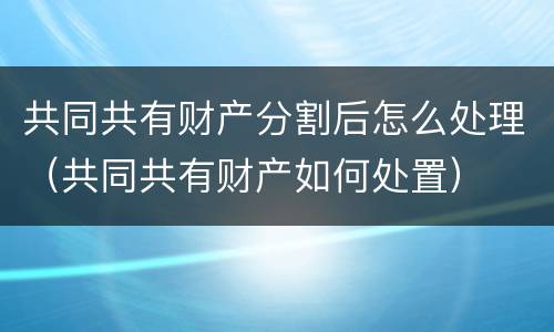 共同共有财产分割后怎么处理（共同共有财产如何处置）