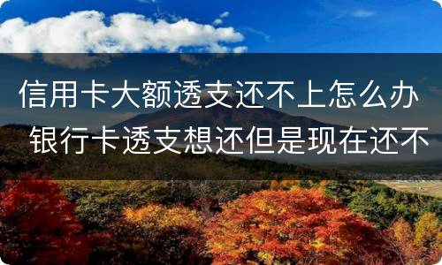 信用卡大额透支还不上怎么办 银行卡透支想还但是现在还不上怎么办