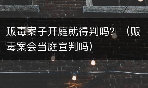 贩毒案子开庭就得判吗？（贩毒案会当庭宣判吗）