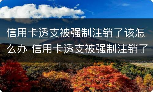 信用卡透支被强制注销了该怎么办 信用卡透支被强制注销了该怎么办理