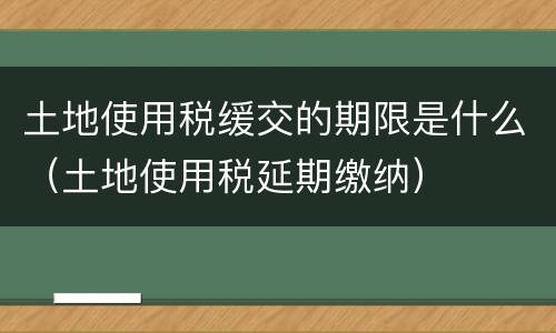 土地使用税缓交的期限是什么（土地使用税延期缴纳）