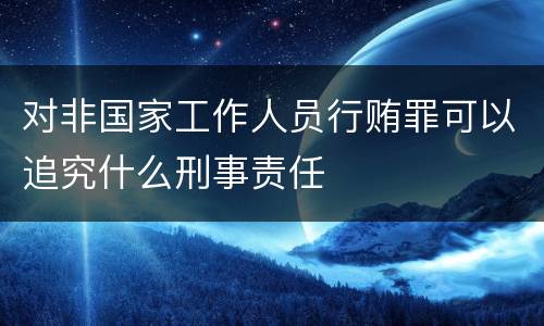 对非国家工作人员行贿罪可以追究什么刑事责任