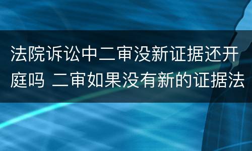 法院诉讼中二审没新证据还开庭吗 二审如果没有新的证据法院会改判吗