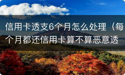 信用卡透支6个月怎么处理（每个月都还信用卡算不算恶意透支）