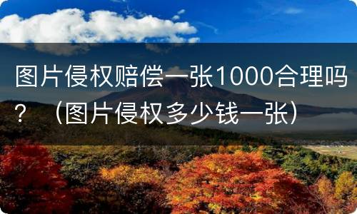 图片侵权赔偿一张1000合理吗？（图片侵权多少钱一张）