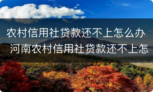 农村信用社贷款还不上怎么办 河南农村信用社贷款还不上怎么办