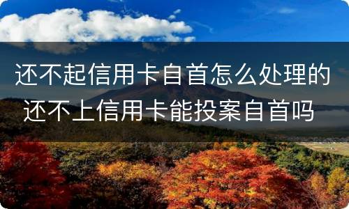 还不起信用卡自首怎么处理的 还不上信用卡能投案自首吗