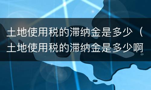 土地使用税的滞纳金是多少（土地使用税的滞纳金是多少啊）