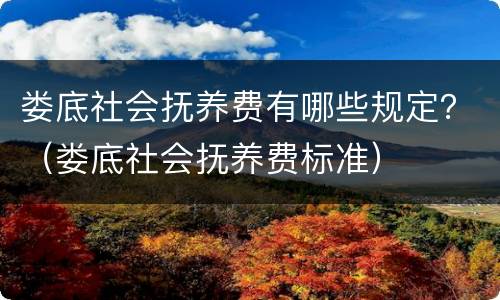 娄底社会抚养费有哪些规定？（娄底社会抚养费标准）