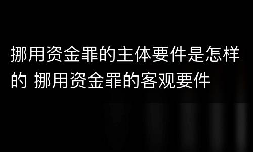 挪用资金罪的主体要件是怎样的 挪用资金罪的客观要件