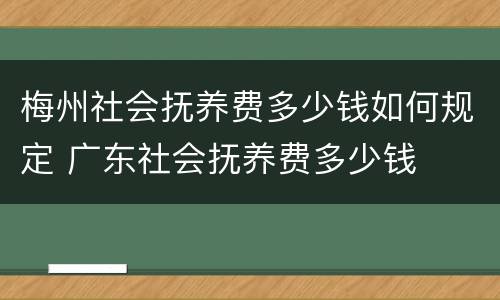 梅州社会抚养费多少钱如何规定 广东社会抚养费多少钱